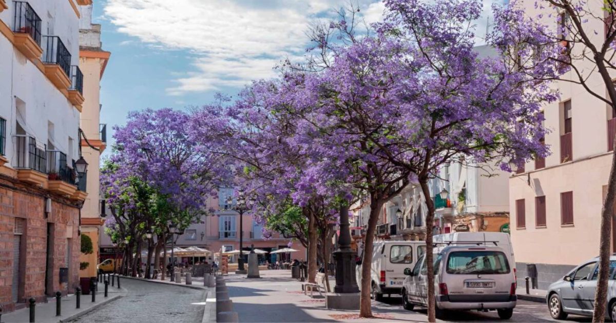 Qué ver en Madrid en 3 días: Itinerario completo
